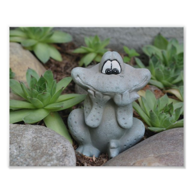 Impression Photo Cute Garden Frog Succulent Garden 8x10 (Devant)