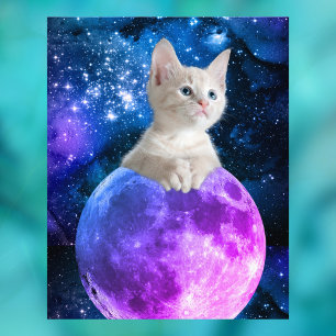 Impression Photo Cute Kitten Sur La Lune, Étoiles Lumineuses, Unive