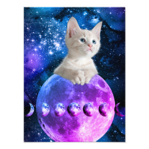Impression Photo Cute Kitten Sur La Lune Étoiles Lumineuses Univers