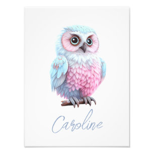 Impression Photo Cute Pastel Chouette à cartons rose et bleu