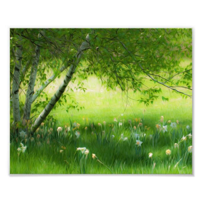 Impression Photo Daffodiques de printemps (Devant)