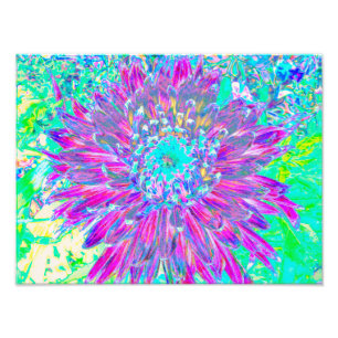 Impression Photo Dahlia décorative violette et bleu oeuf de Robin