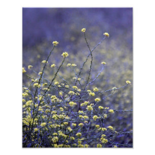 Impression Photo Danse de fleur sauvage