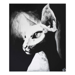 Impression photo d'art originale du chat Sphynx