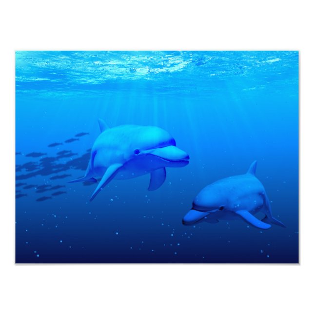 Impression Photo Dauphins (Devant)