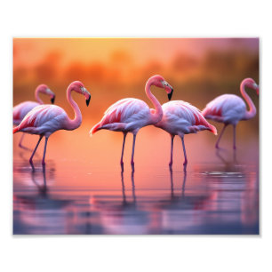 Impression photo de flamants roses