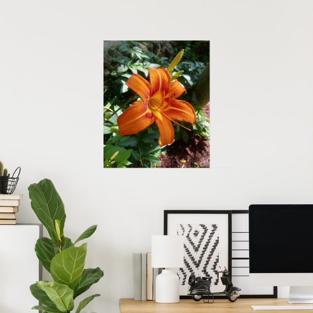 Impression photo de fleur d'hémérocalle orange (Bureau à domicile)