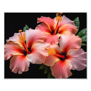 Impression photo de fleurs tropicales