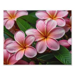 Impression photo de fleurs tropicales