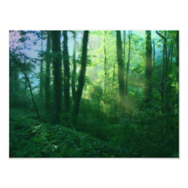 Impression photo de la fertilité (Devant)