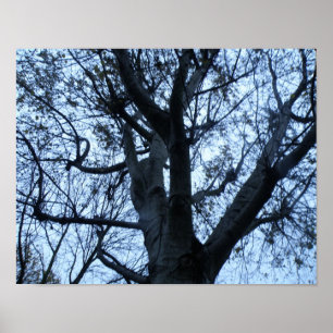 Impression photo de la silhouette d'arbre