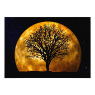 Impression photo de minuit Pleine lune