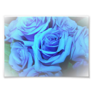 Impression photo de roses bleues