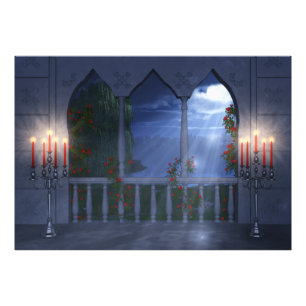 Impression photo de son manteau d'argent