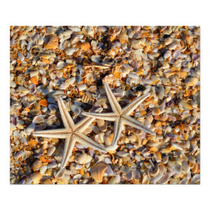 Impression photo de Starfish and Seashells