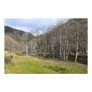 Impression Photo Début d'automne au bord de la rivière - Wild Natur
