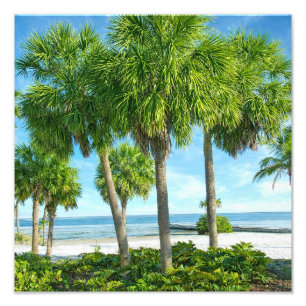 Impression Photo Décoration murale de jardin de palmiers tropicaux 