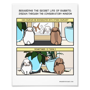 IMPRESSION PHOTO DÉDAIN