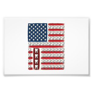 Impression Photo Dentiste Patriotique Dent Drapeau