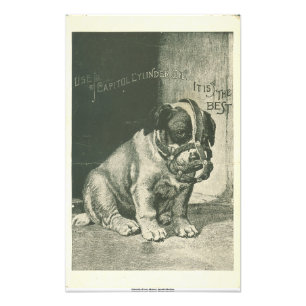 Impression photo d'éphémère de chiot avec muselièr