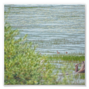 Impression Photo Déplacement délicat