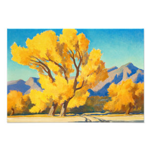 Impression Photo Desert Cottonwoods, Arizona par Maynard Dixon