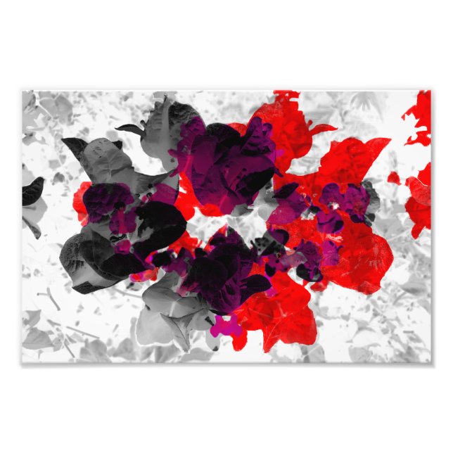 Impression Photo Design floral Abstrait - rouge et violet sur blanc (Devant)