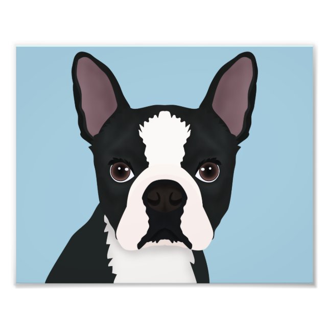 Impression Photo dessin animé de boston terrier (Devant)