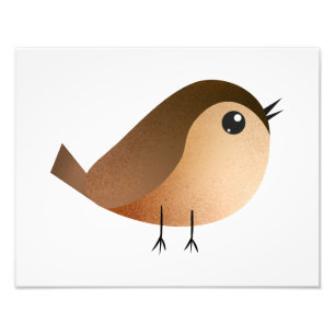 Impression Photo Dessin Animé d'Oiseau Moineau