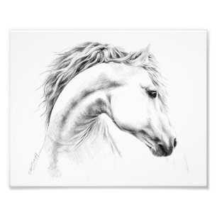Impression Photo Dessin au crayon portrait de cheval Art équestre