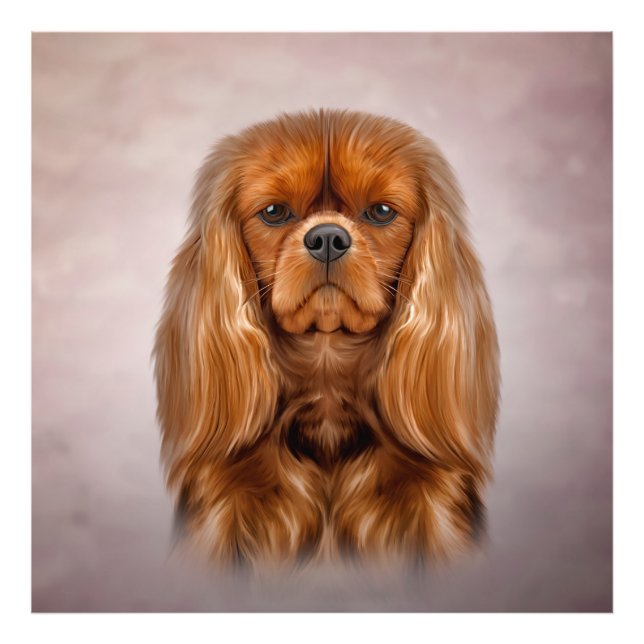 Impression Photo Dessin Chien Cavalier King Charles Spaniel (Devant)