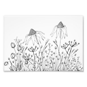 Impression Photo dessin fleur sauvage