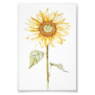 Impression Photo Dessin Tournesol - Vintage drôle cadeau d'annivers
