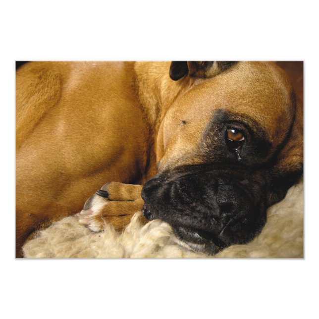 Impression Photo Détail d'une boîte (Devant)