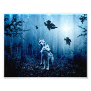 Impression Photo Deux loups blancs dans la forêt