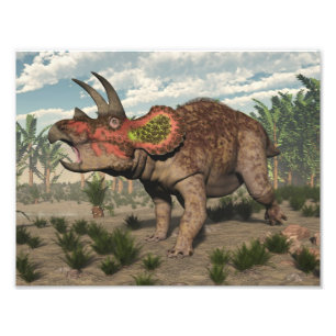 Impression Photo Dinosaure de Tricératops - rendu 3D