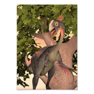 Impression Photo Dinosaure Gigantoraptor