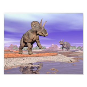 Impression Photo Dinosaures de Nedoceratops/diceratops en nature