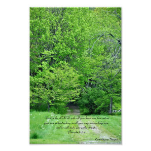 Impression Photo Dirigez vos chemins