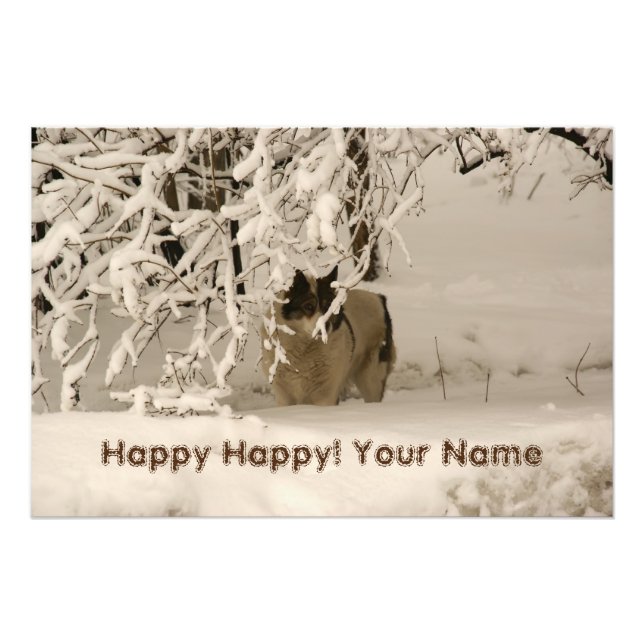 Impression Photo Dog (Devant)