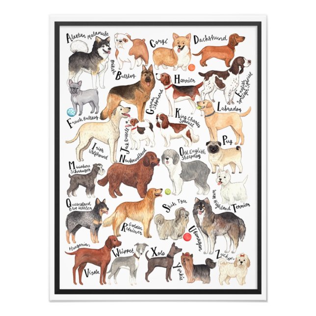 Impression Photo Dog Breeds (Devant)
