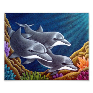 IMPRESSION PHOTO DOLPHINES DANS UNE IMPRIMANTE DE 8" X 10"