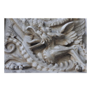 Impression Photo Dragon !