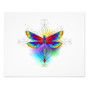 Impression Photo Dragonfly en arc-en-ciel