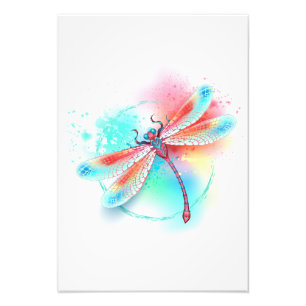 Impression Photo Dragonfly rouge sur l'arrière - plan aquarelle