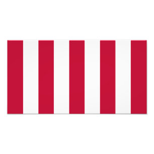 Impression Photo Drapeau américain Sons Of Liberty à 9 bandes