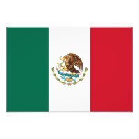 Drapeau du Mexique, Bandera de la République mexic