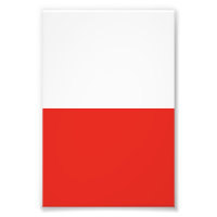 Drapeau polonais