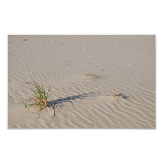 Impression Photo Dune Grass sur la plage