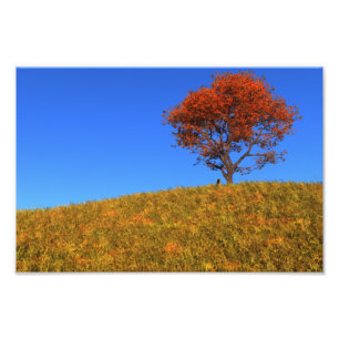 Impression photo d'une journée d'automne claire